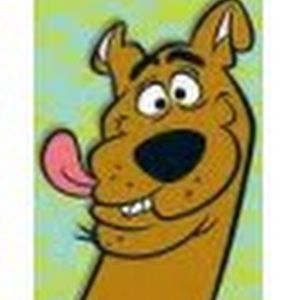 Meet your Posher, Ashlee